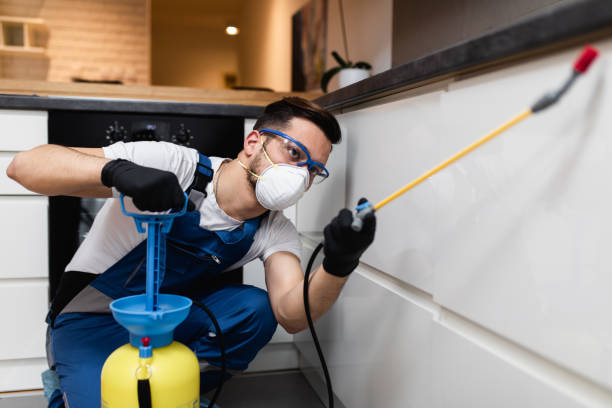 Best Commercial Pest Control Services  in Aventura, FL