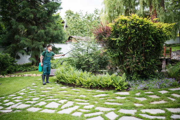 Best Wasp Removal Services  in Aventura, FL