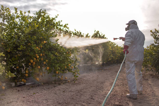 Best Pest Control Near Me in Aventura, FL