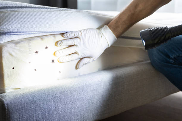 Best Pest Control Near Me  in Aventura, FL