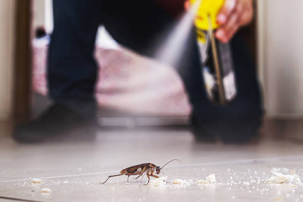 Best Affordable Pest Control Services  in Aventura, FL